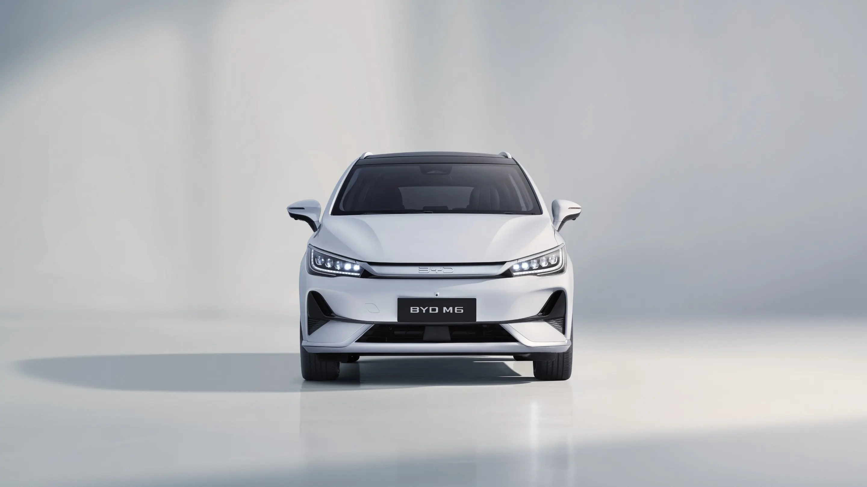 BYD M6 Dragon Face
